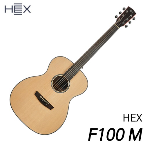 헥스(HEX) 어쿠스틱기타 F100 M