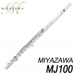 미야자와(Miyazawa)MJ100