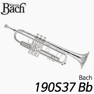 바하(Bach)190S37 50주년 Bb 트럼펫