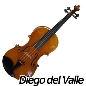 Diego del Valle 바이올린 2023년제작 (4/4)