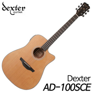 덱스터(Dexter)AD100SCE(국내생산)